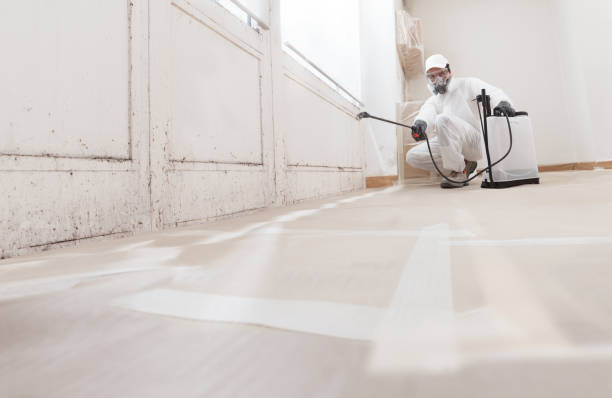 24/7 Emergency Crawl Space Mold Removal experts in Kenmore, WA