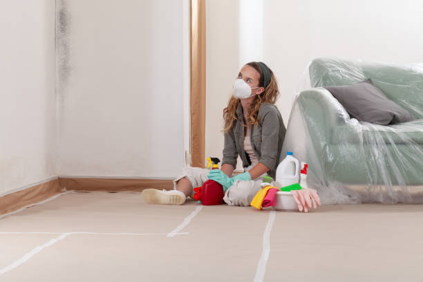 Reliable Mold Cleanup contractor in Kenmore, WA by Cheap Mold Removal